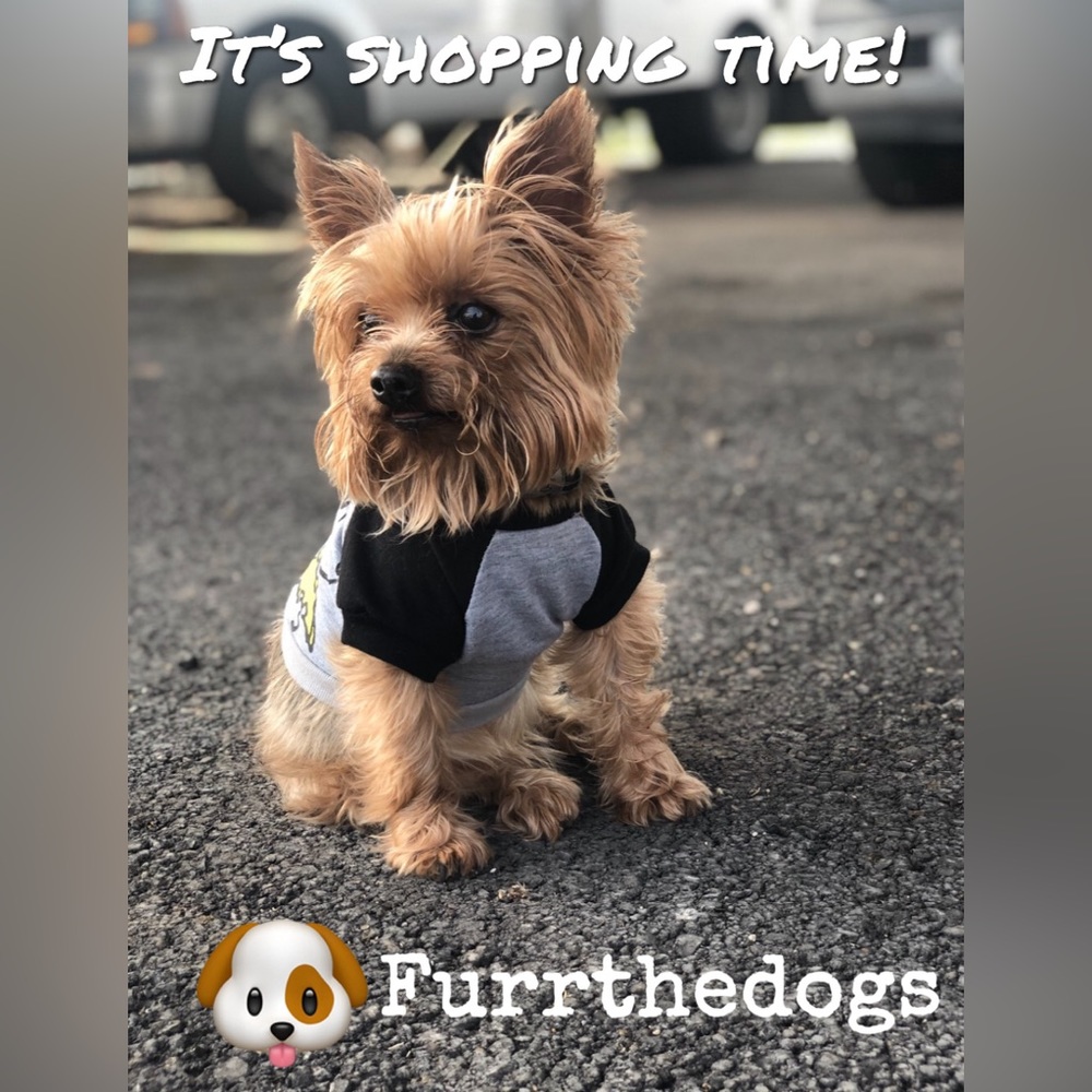 🐶🐾Like to be notified when live.🐶🐾 (LIVE LISTING)